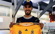 Images_166939_thumb_diego-reyes-tigres_0_134_960_597